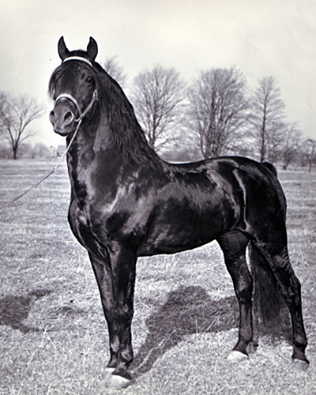 Read more about the article Friday Flashback – February 20, 2015 – Allen’s Major